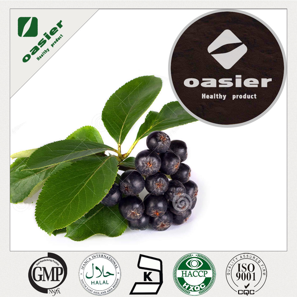 chokeberry extract